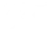 Tatsi